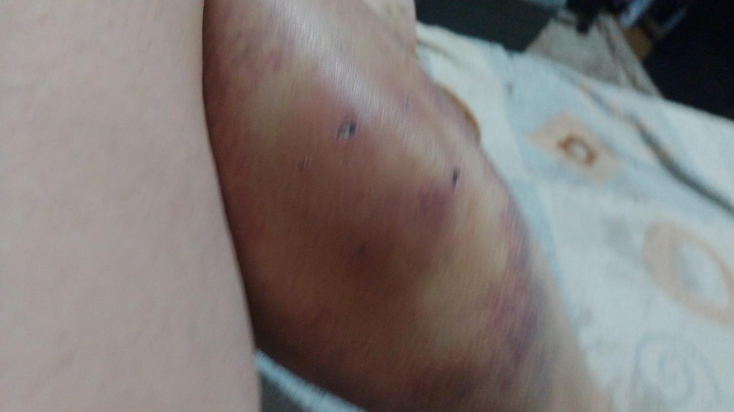 foto do cao