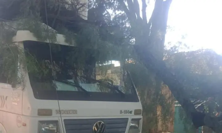 Árvore cai sobre veiculo na rua alice falcão 